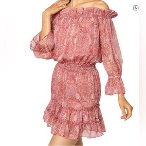 MISA Los Angeles Danae Dress – Washed Rose Floral Chiffon size small